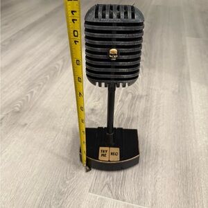 Repeat / Record Talking microphone toy